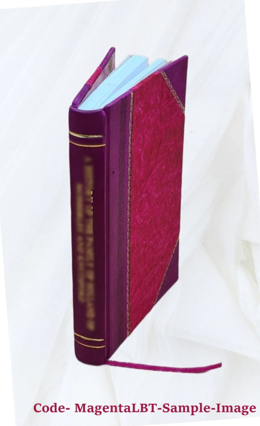 M.T. Ciceronis Ad Marcum Brutum orator 1530 [Leather Bound]