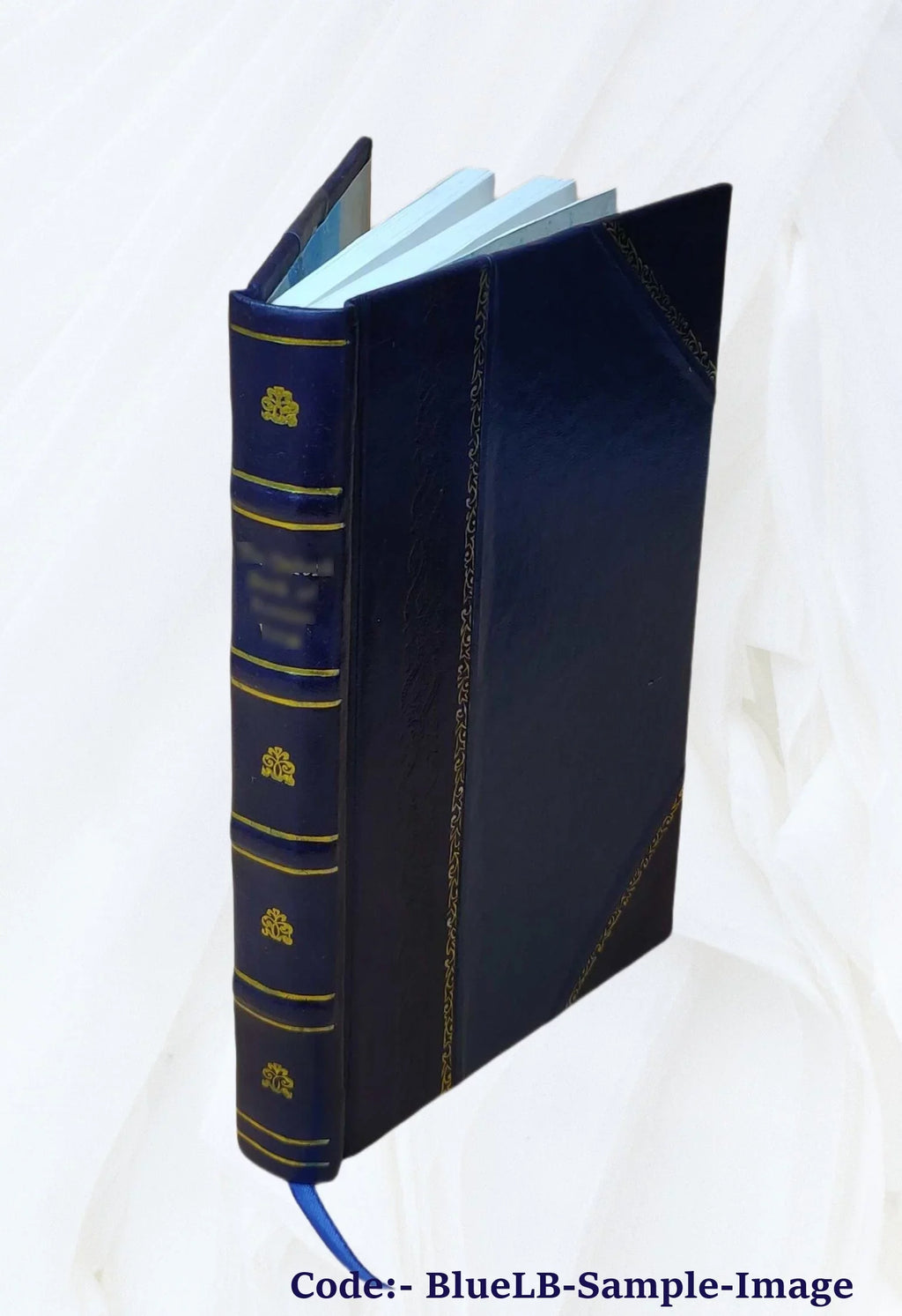Nobiliaire d'Auvergne ... / J.-B. Bouillet. Volume v.5 1846 [Leather Bound]