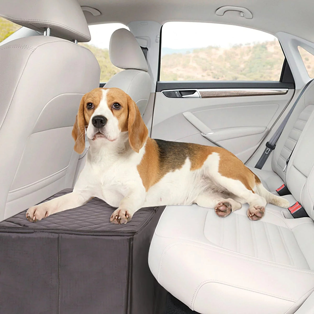 Back Seat Extender for Dogs with Storage Dog Bridge - Gray