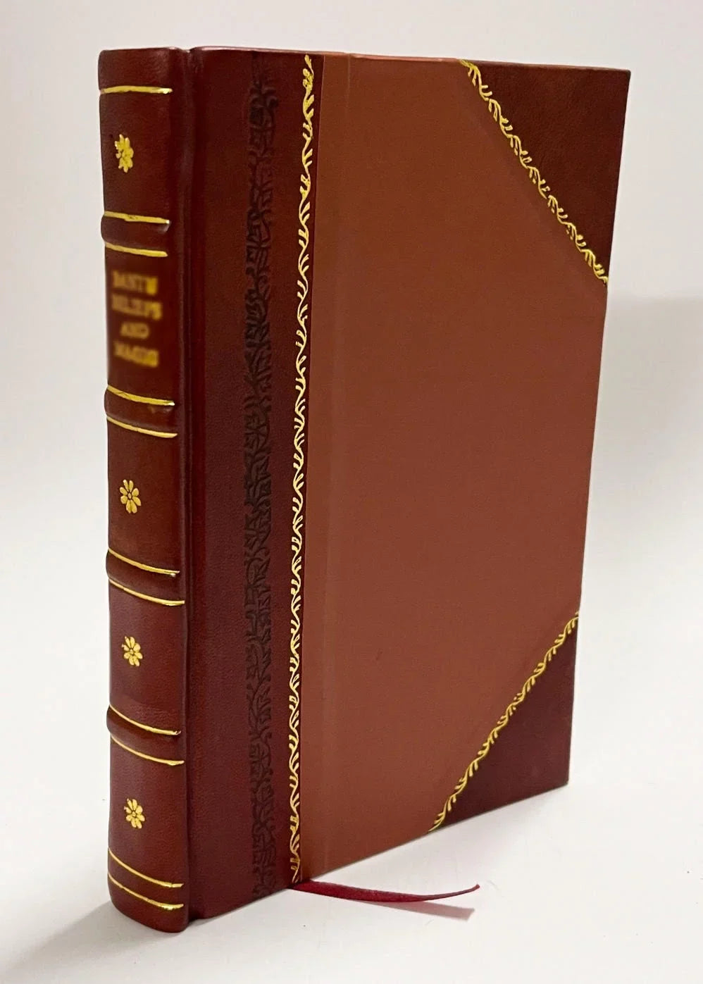 Relatione Dell'Arrivo in Spagna Della Serenissima Regina Margarita D'Avstria Bcol Solenne Ricevimento Fattole Dal Catholico Re N. S. Nella Insigne Citta Di Valenza, Et (1599) [Leather Bound]