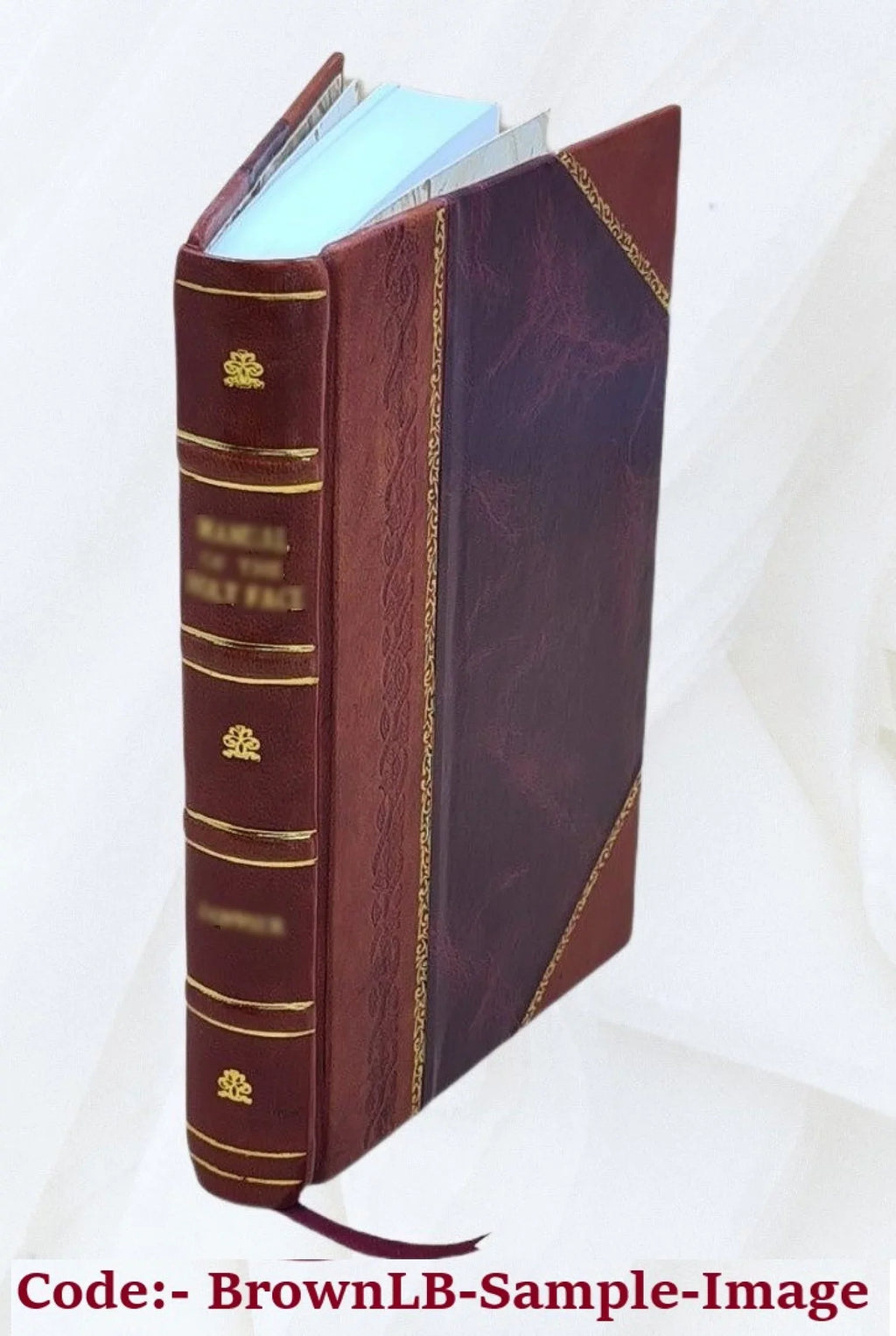 Souvenirs des Antilles : voyage en 1815 et 1816, aux États-Unis, et dans l'archipel Caraïbe; aperçu de Philadelphie et New-Yorck ; descriptions de la Trinidad, la Grenade, Saint