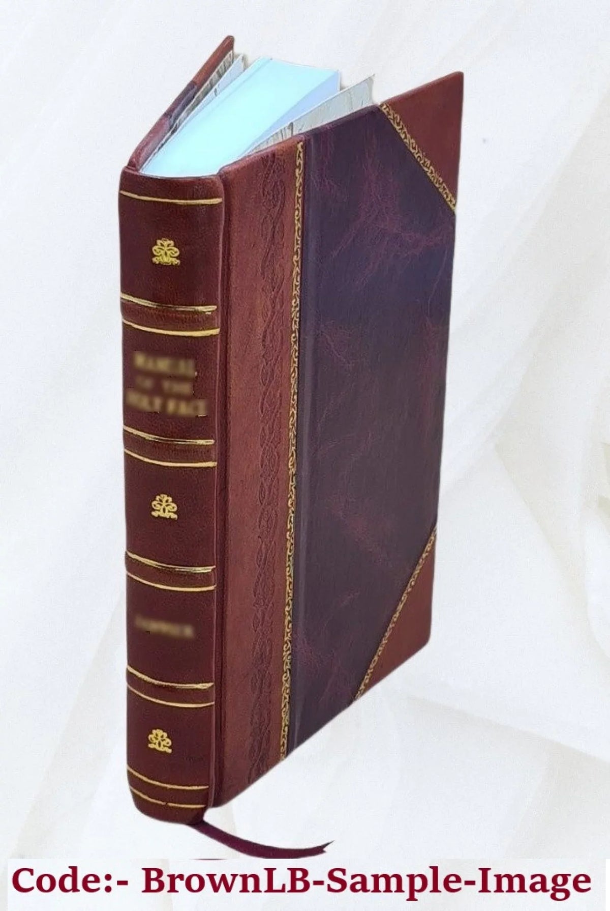 Souvenirs des Antilles : voyage en 1815 et 1816, aux États-Unis, et dans l'archipel Caraïbe; aperçu de Philadelphie et New-Yorck ; descriptions de la Trinidad, la Grenade, Saint